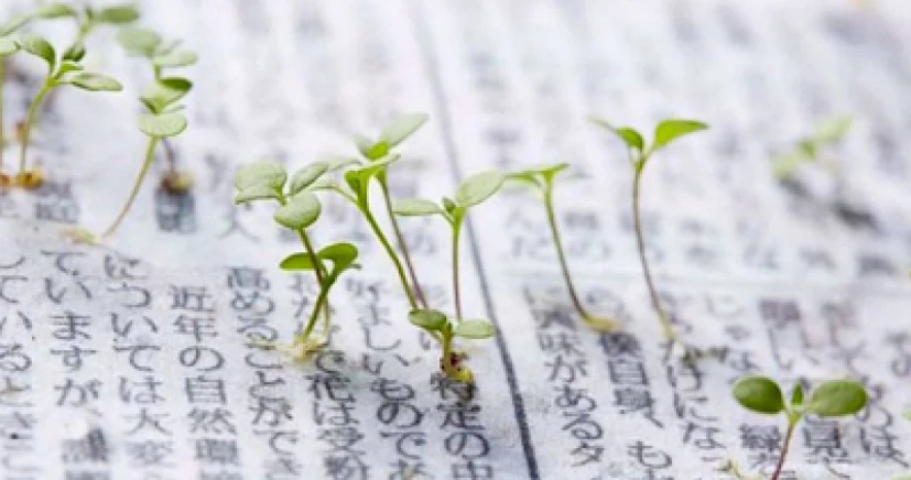 Ιάπωνες δημιούργησαν βιώσιμη εφημερίδα που μετατρέπεται σε φυτό (βίντεο)